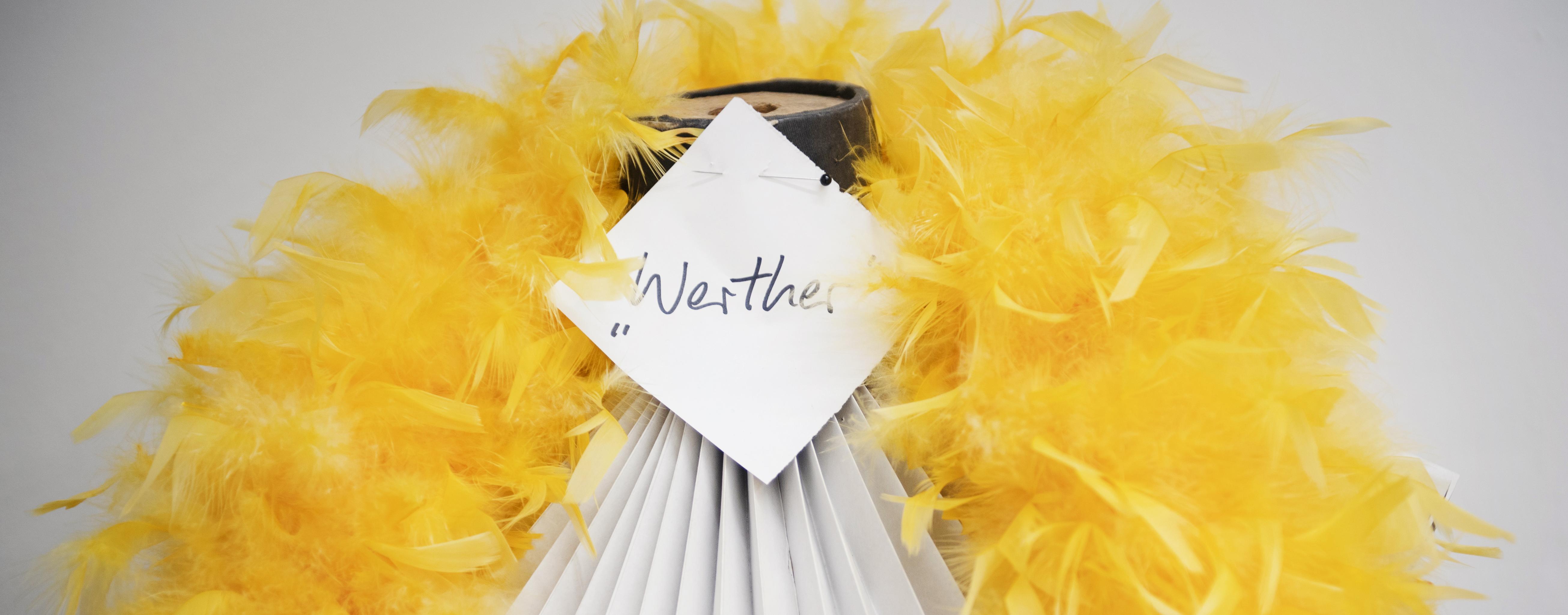 Ein Kostüm mit Federboa, an einem Zettel steht "Werther"