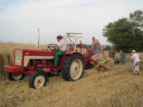 Symbolbild Osterräderlauf in Lügde
